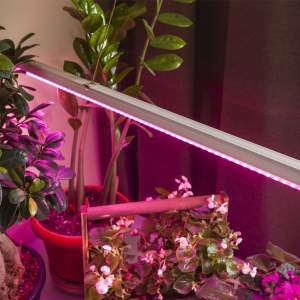 «Фитолампа - светильник ультрафиолетовая для растений светодиодная линейная ЭРА FITO-9W-Т5-N» - фото 2